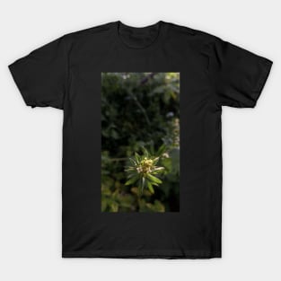 Green wild plant photography T-Shirt